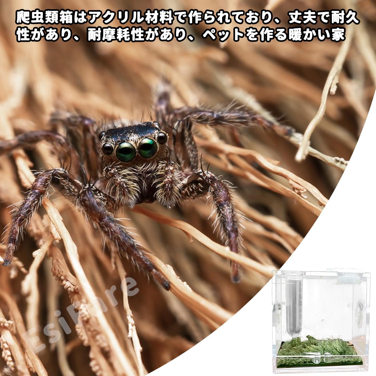 EsiFare ミニ爬虫類 5.2*5.2*5.2cm 蜘蛛 ケージ 飼育ケース 虫籠 EsiFare ミニ爬虫類 5.2*5.2*5.2cm 蜘蛛 ケージ 飼育ケース 虫籠