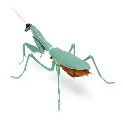 2026年最新】擬態するカマキリの人気アイテム - メルカリ
