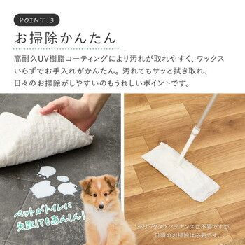 抗菌消臭フロアマット 約45×60 cm 日本製 ペット 日本製 クッション