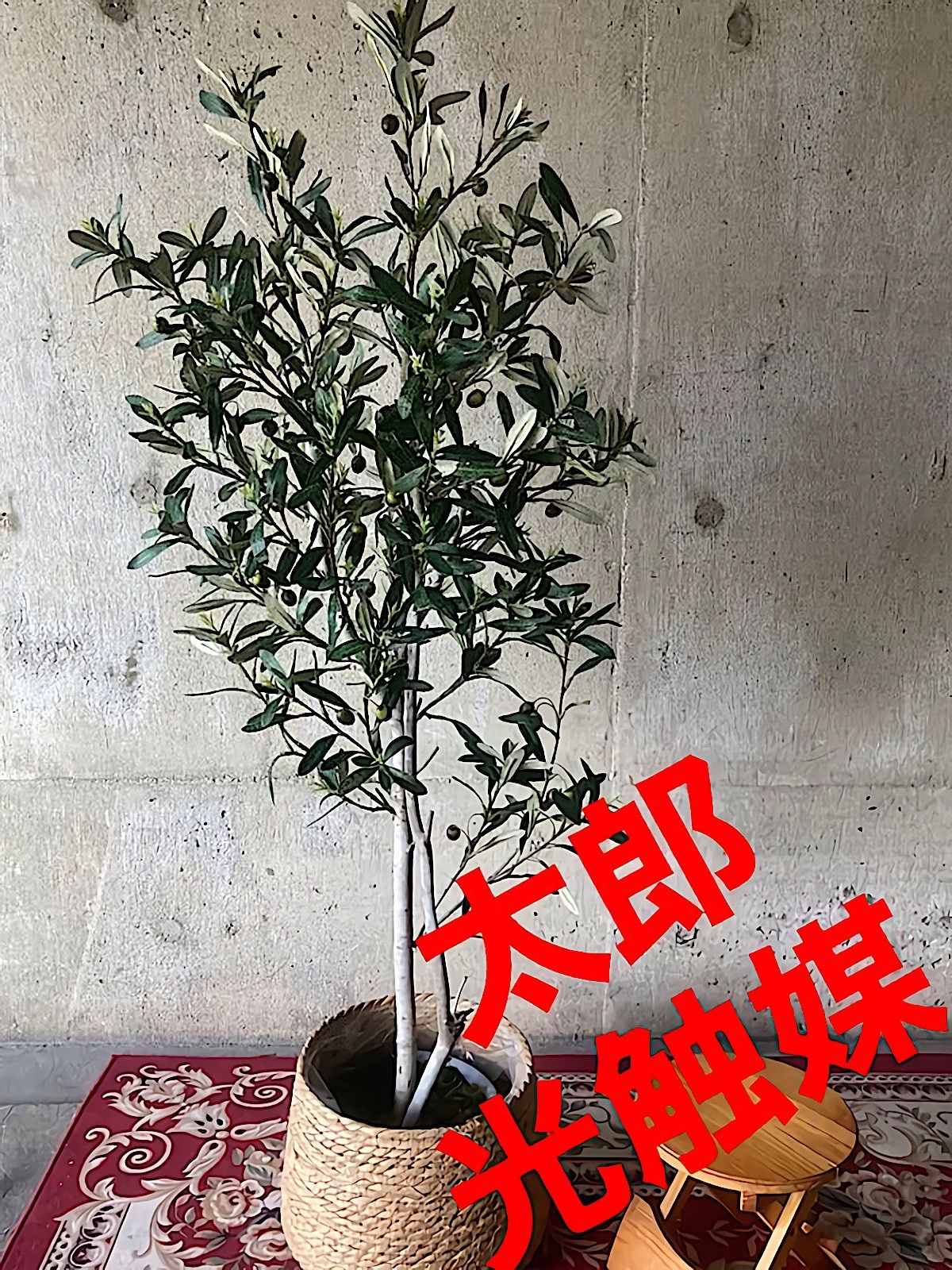 人気の福袋 激安超安値 新品 未使用 光触媒人工観葉植物ウォールグリーンフェイクフラワーハンドメイド オリーブ123d 植物 観葉植物 Dinagatislands Com Ph Dinagatislands Com Ph