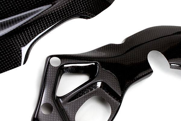 Carbonin CB3050 カーボン フレームプロテクター BMW S1000RR (15-)