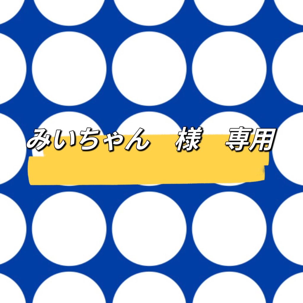 みいちゃん様 専用ページ - その他