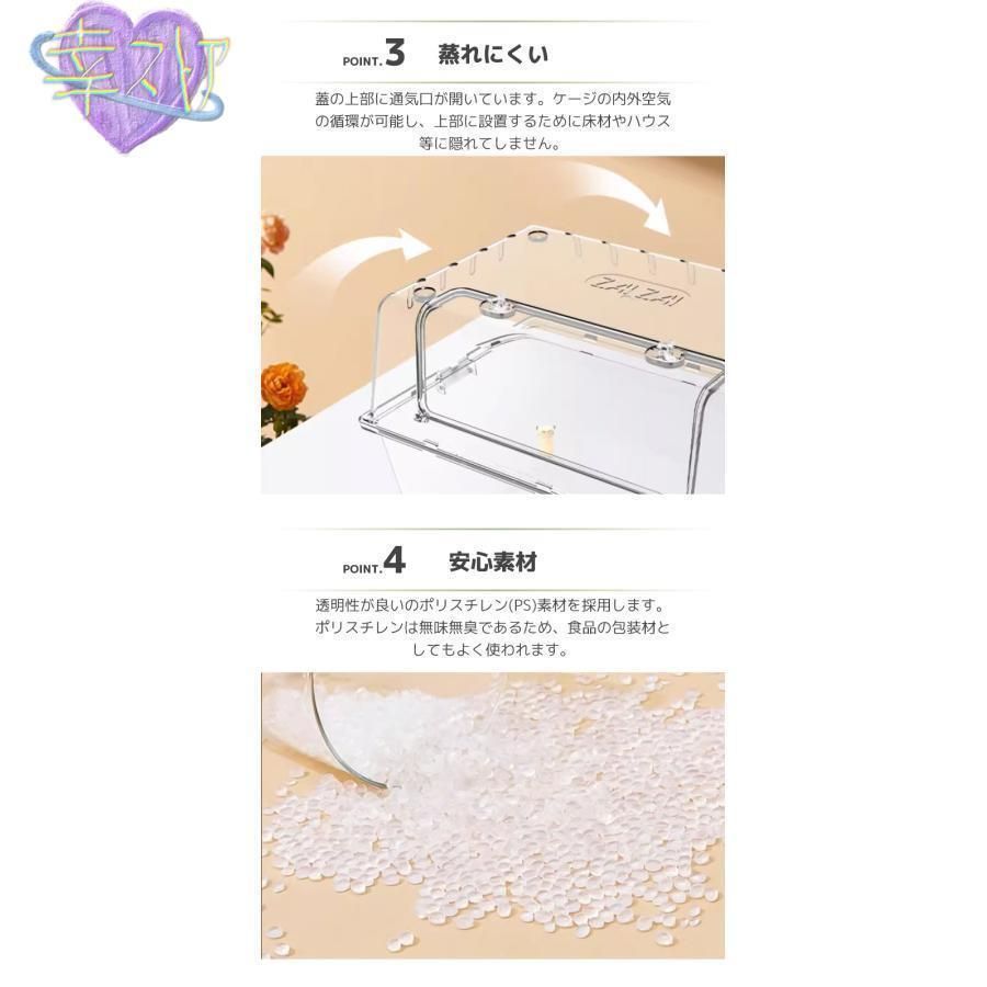 ss再 げccWP人気注目