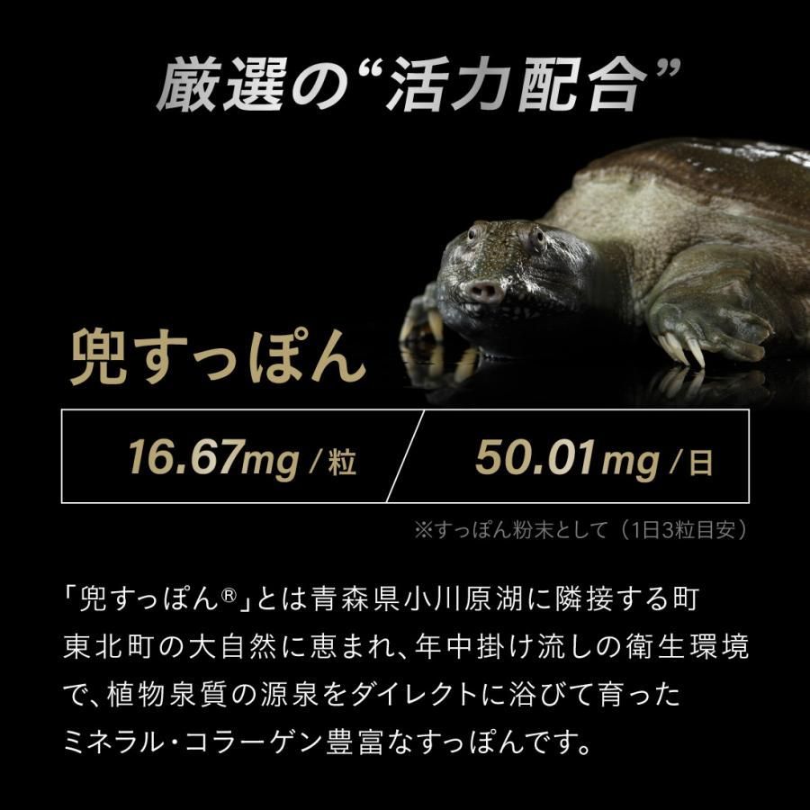 高麗人参