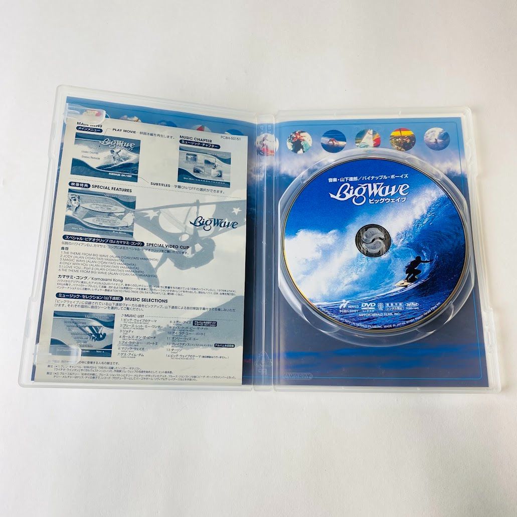 Big　Wave（通常）（DVD）マーク・リチャーズ 音楽 山下達郎/パイナップル・ボーイズ  : BIG WAVE [DVD] : マーク・リチャーズ, マイケル・ホー