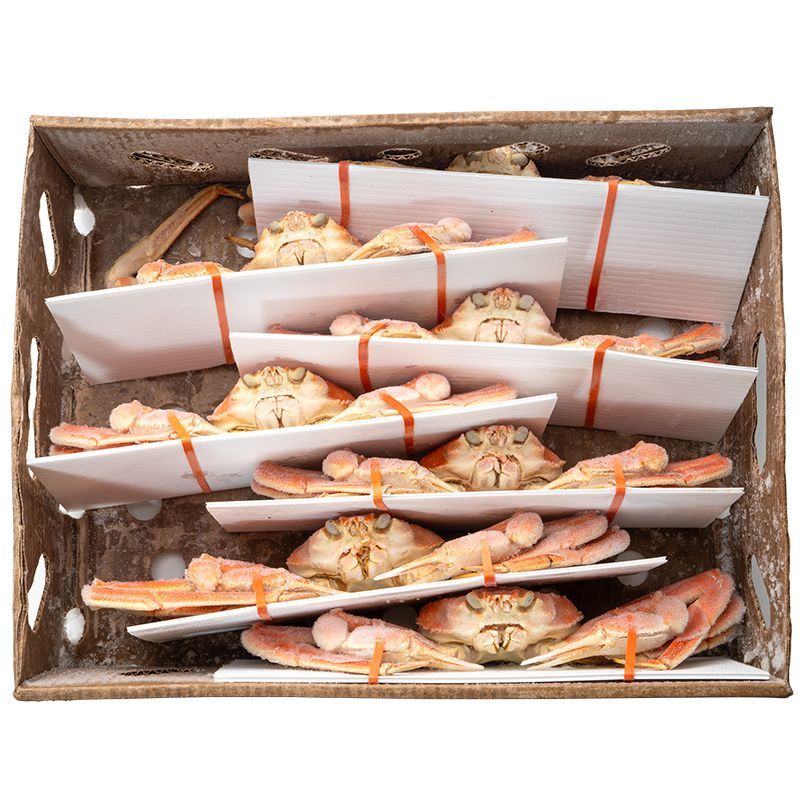 【ちゃき】冷凍ボイル　本ズワイガニ5尾/総重量3.0kg 冷凍ボイル 本ズワイガニ5尾/総重量3.0kg ボイルズワイガニ 冷凍」の