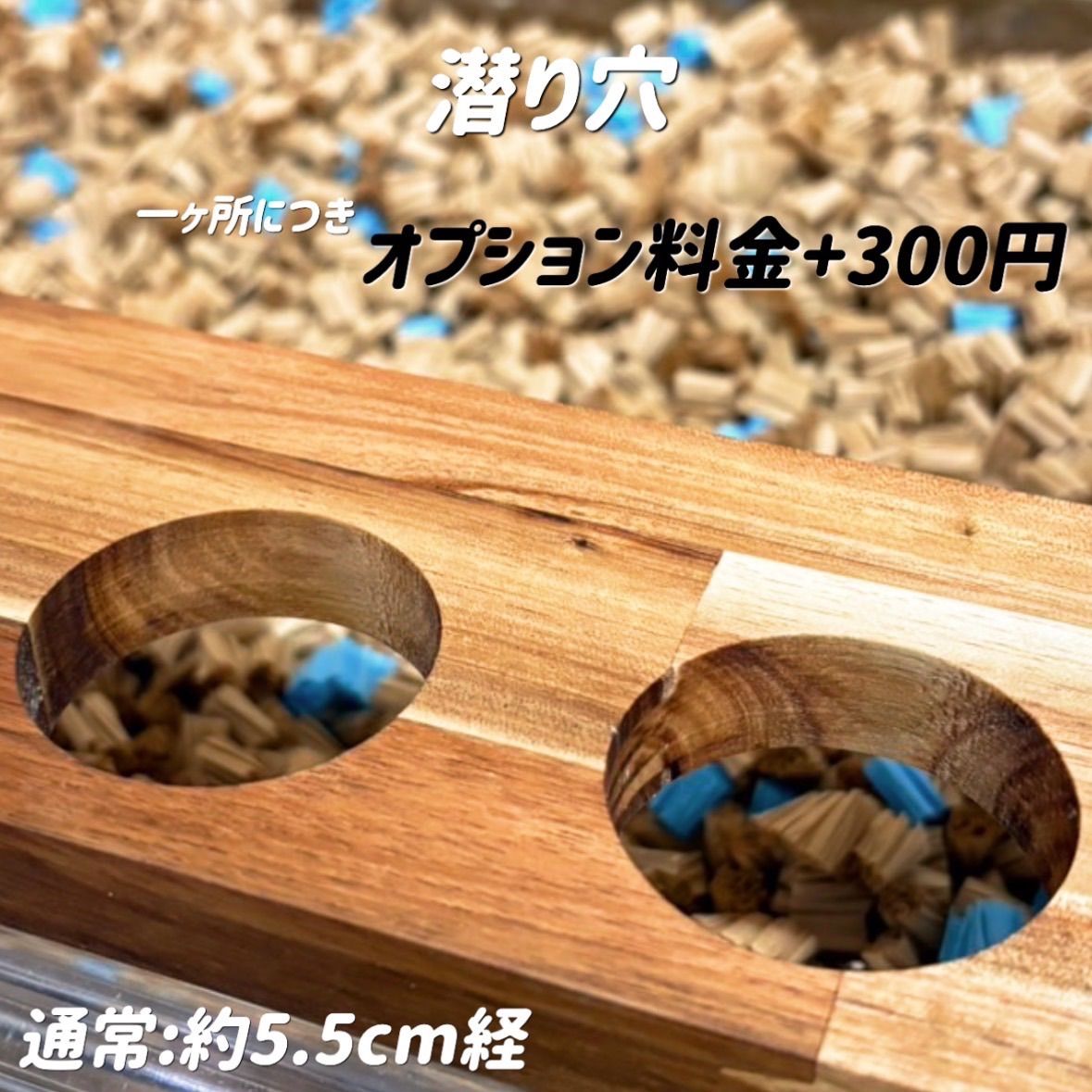 ハムスター グラスハーモニー450 カジカジ カミカミ防止ロフト 階段