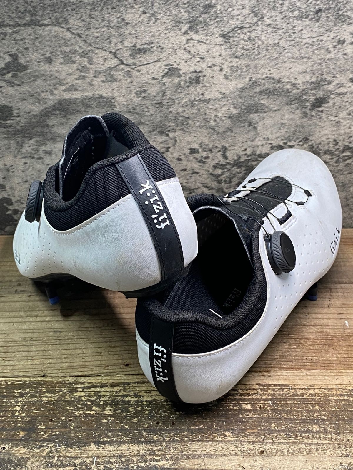 フィジーク fizik