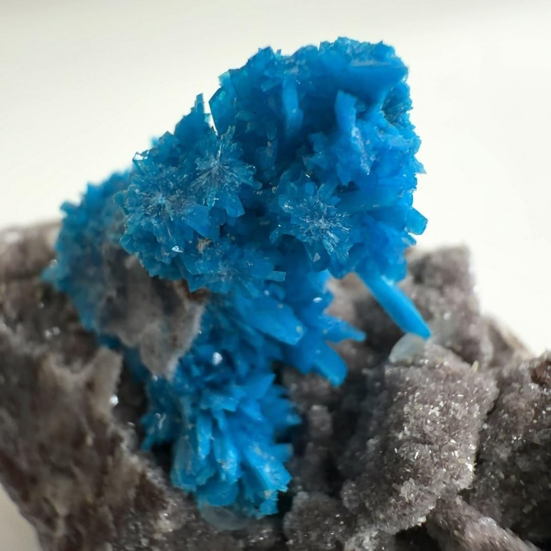 カバンシ石 カバンサイト