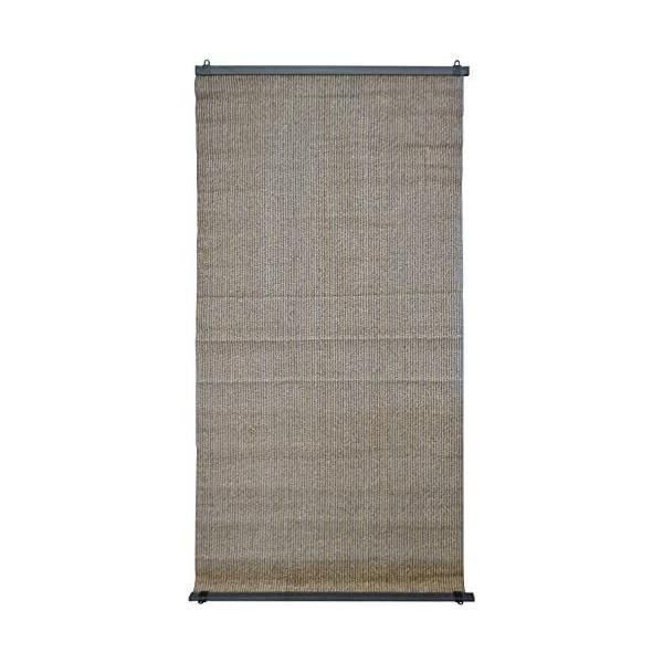 【美品】テンの剥製 剥製 テンの剥製 希少品 【公式通販】