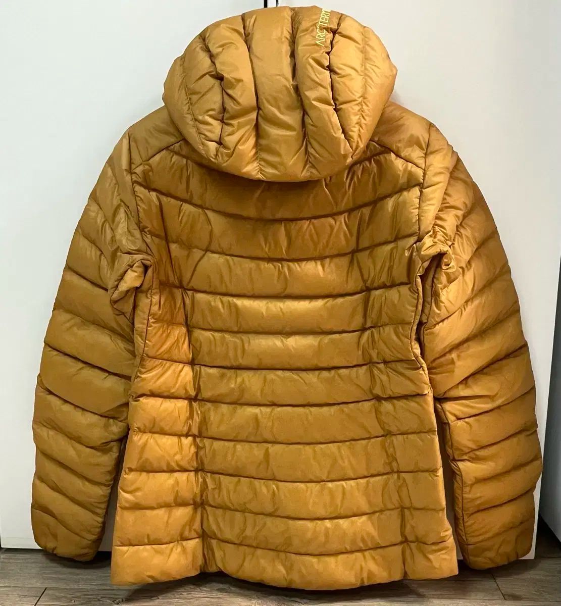 ARC TERYX アークテリクス ARC TERYX Cerium アークテリクス セリウム フーディー パーカー ウーマン