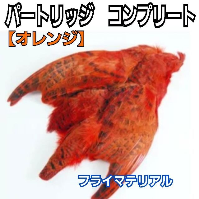 高品質！パートリッジ_コンプリート【オレンジ】 フライマテリアル・フェザー・鳥の羽根・毛針・毛鉤／タイイング フライフィッシング mqdefault.jpg