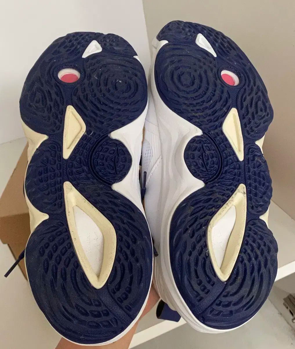 Mizuno