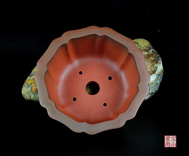 中国宜興 紫砂 鉢盆栽鉢 植木鉢 小品盆栽鉢 大品盆栽鉢 - メルカリ