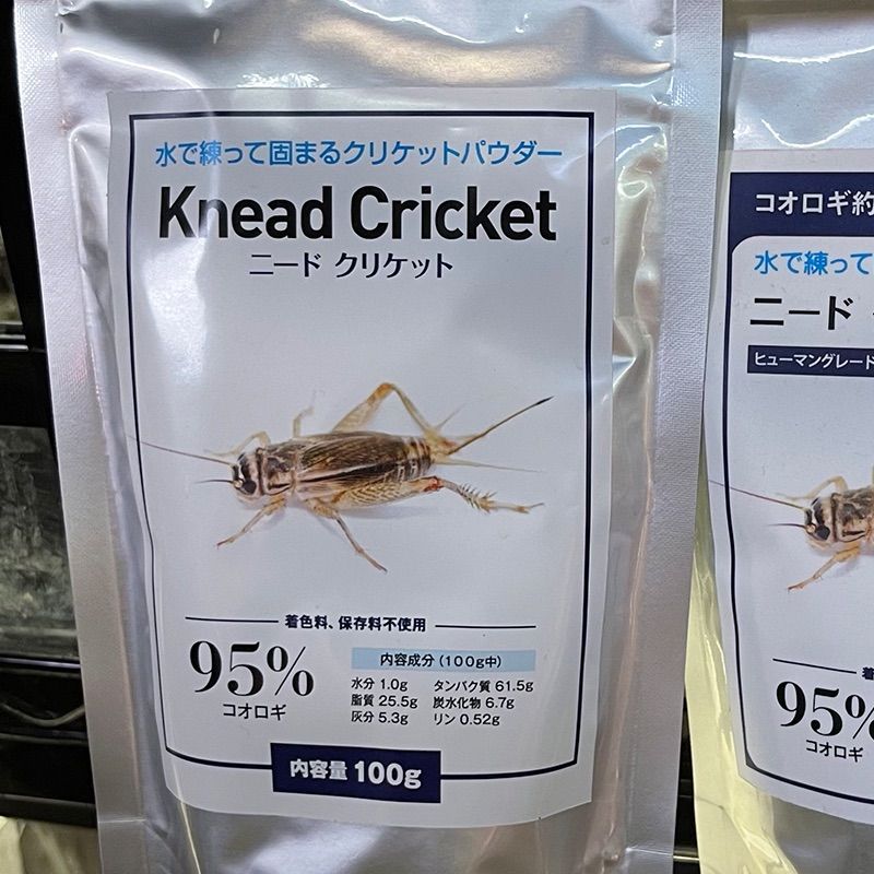 ☆ニードクリケット コオロギ粉末【ヨーロッパイエコオロギ 100g