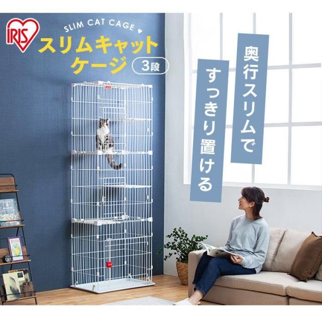 大型 ゲージ