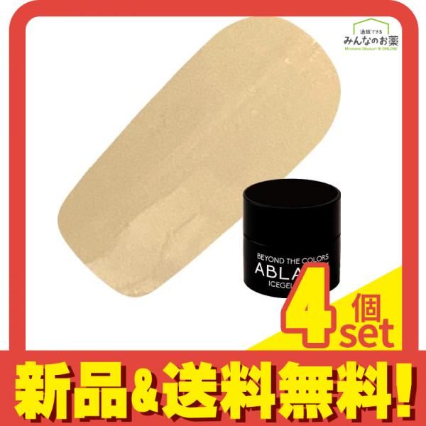 ICEGEL(アイスジェル) A BLACK アイシングニットジェル S24 ベイクドチャコール 3g 4個セット まとめ売り