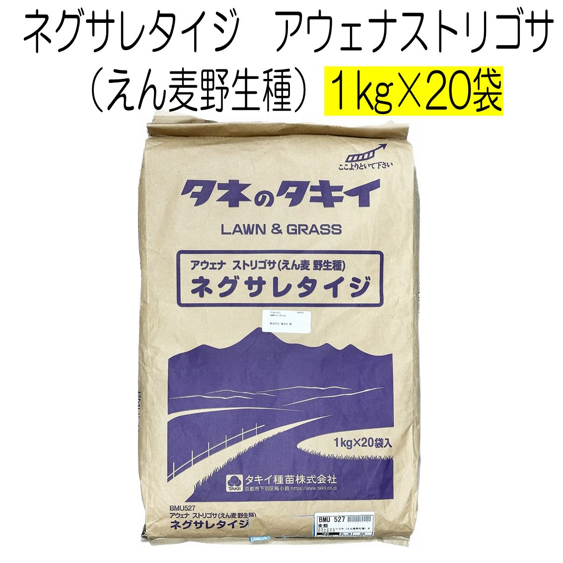ネグサレタイジ アウェナストリゴサ えん麦野生種 種子 20kg 種 タキイ種苗 緑肥の種 大根や人参が にできます