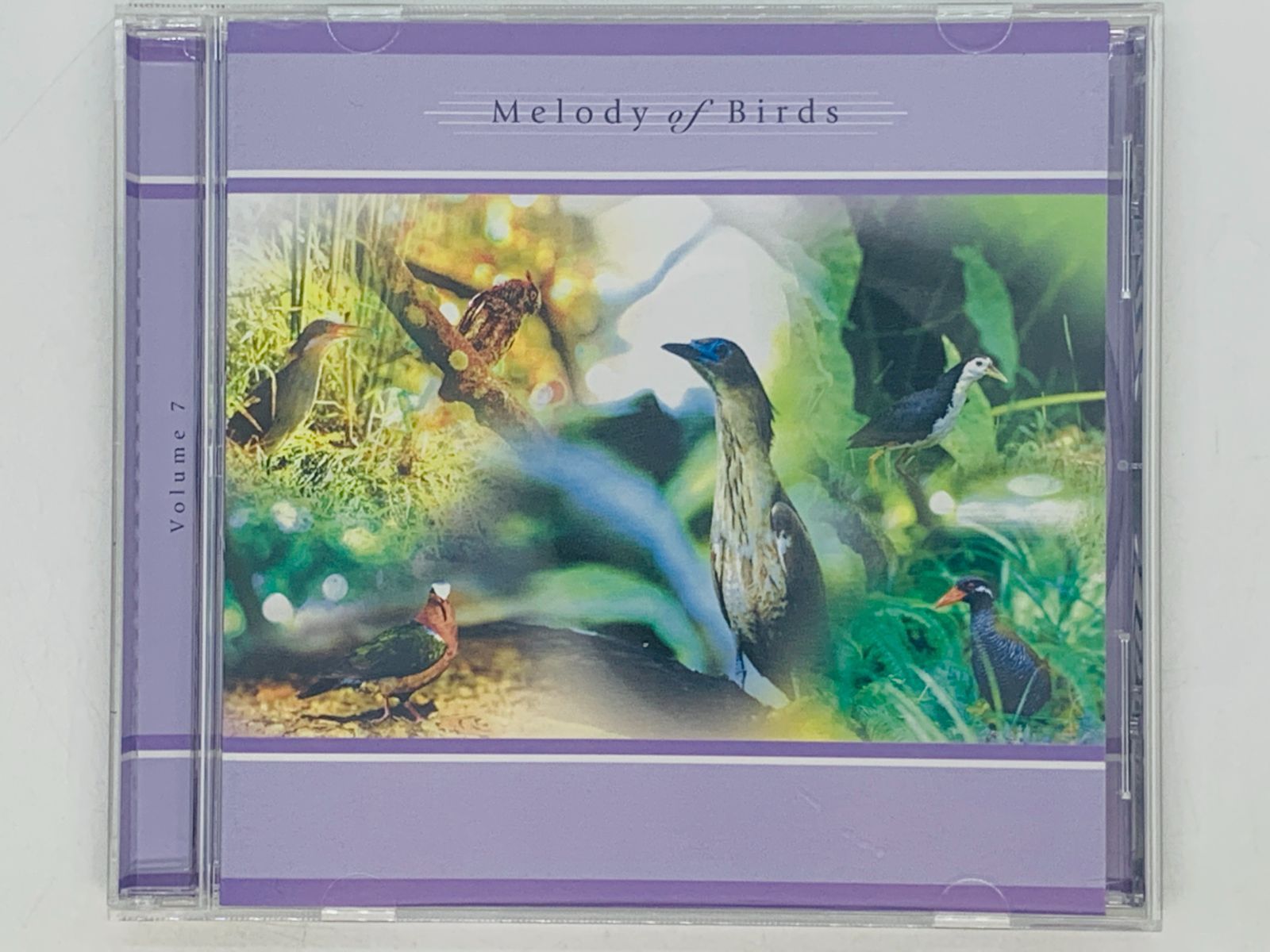 CD 日本の野鳥 歌声100選 Volume 7 / 沖縄 南の島 亜熱帯の鳥