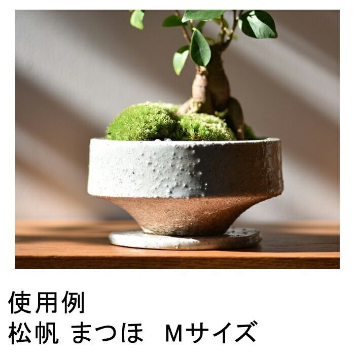 【新品】直径10.5cm 植木鉢 おしゃれ 松帆 まつほ 白系 S 受皿付 貫入 室内 屋内 多肉植物 サボテン 植物 苔玉 小さい鉢