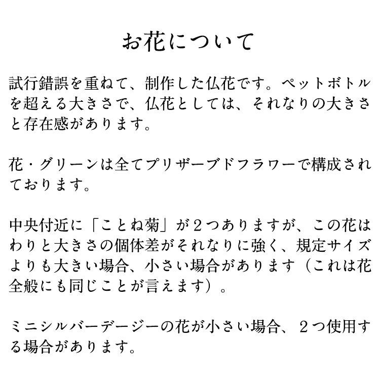 大きめ すみれ色