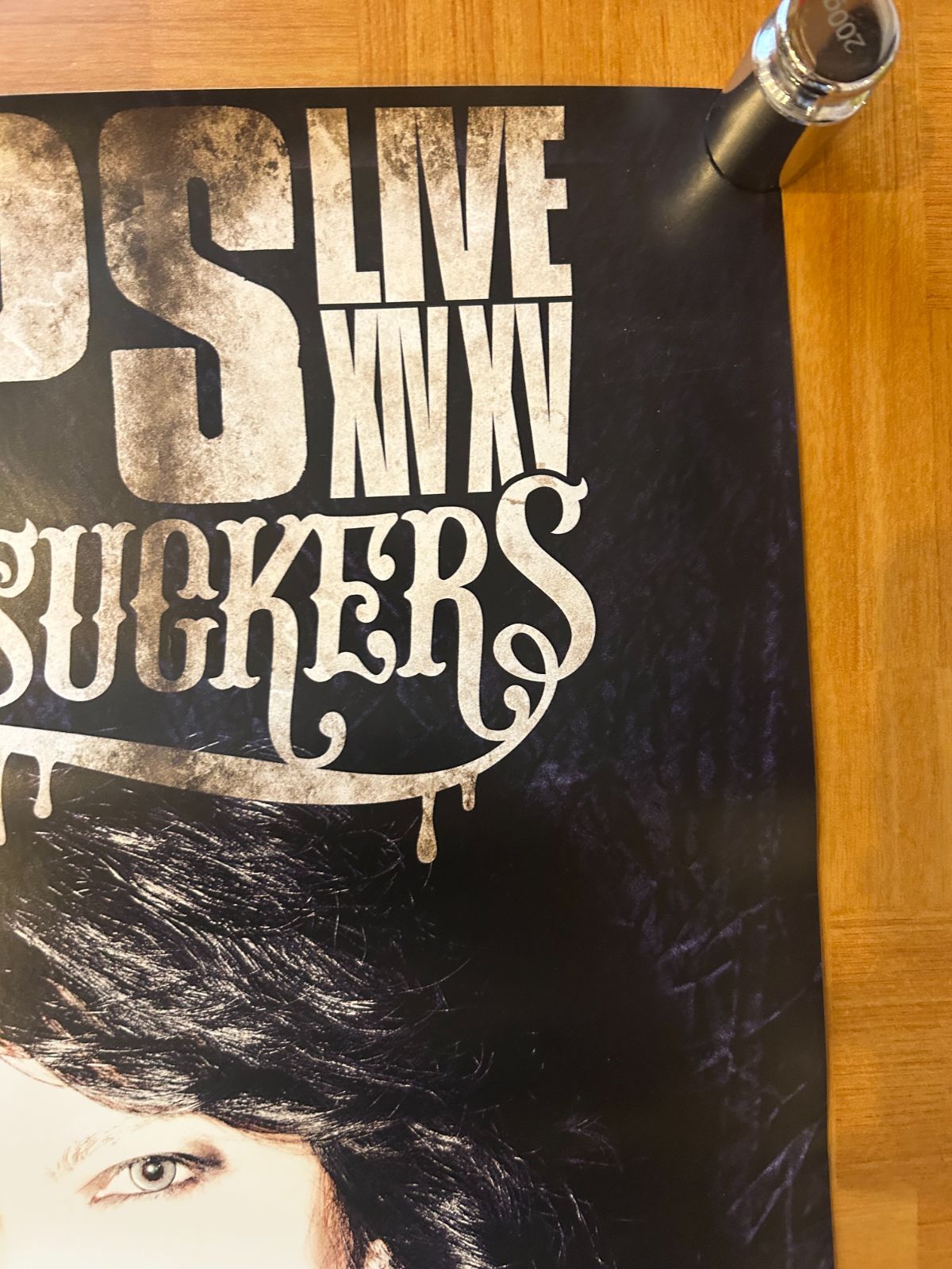 VAMPS ヴァンプス / BLOODSUCKERS 2014年 アルバム・プロモーション用