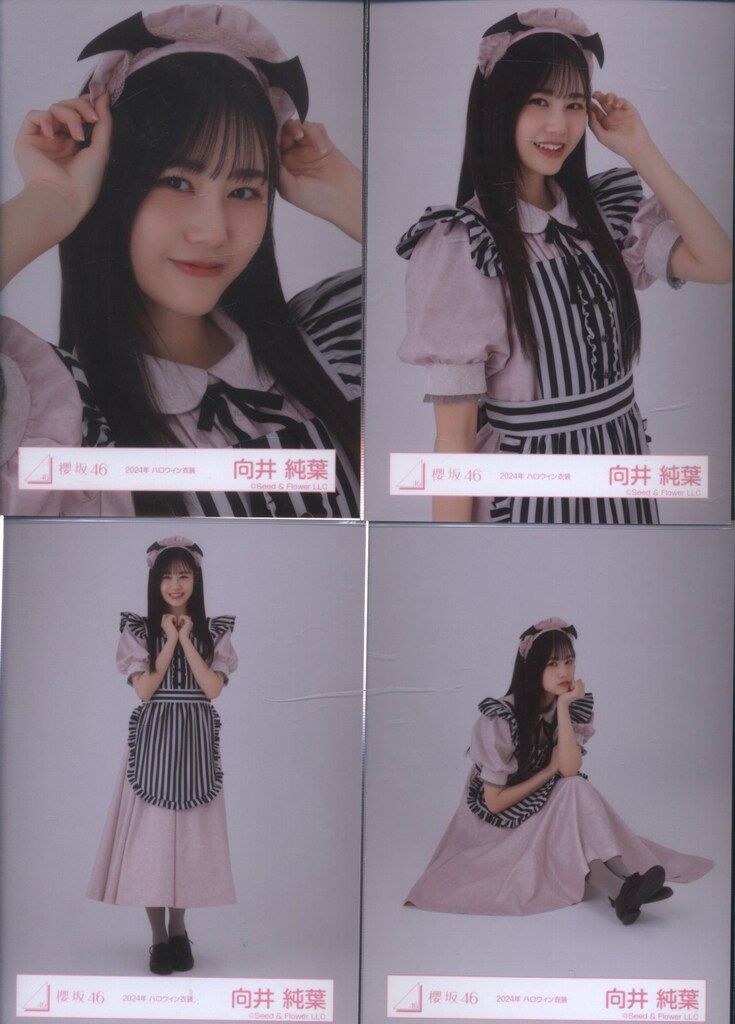 櫻坂46 三期生ライブ 向井純葉 2024年 ハロウィン衣装 コンプ