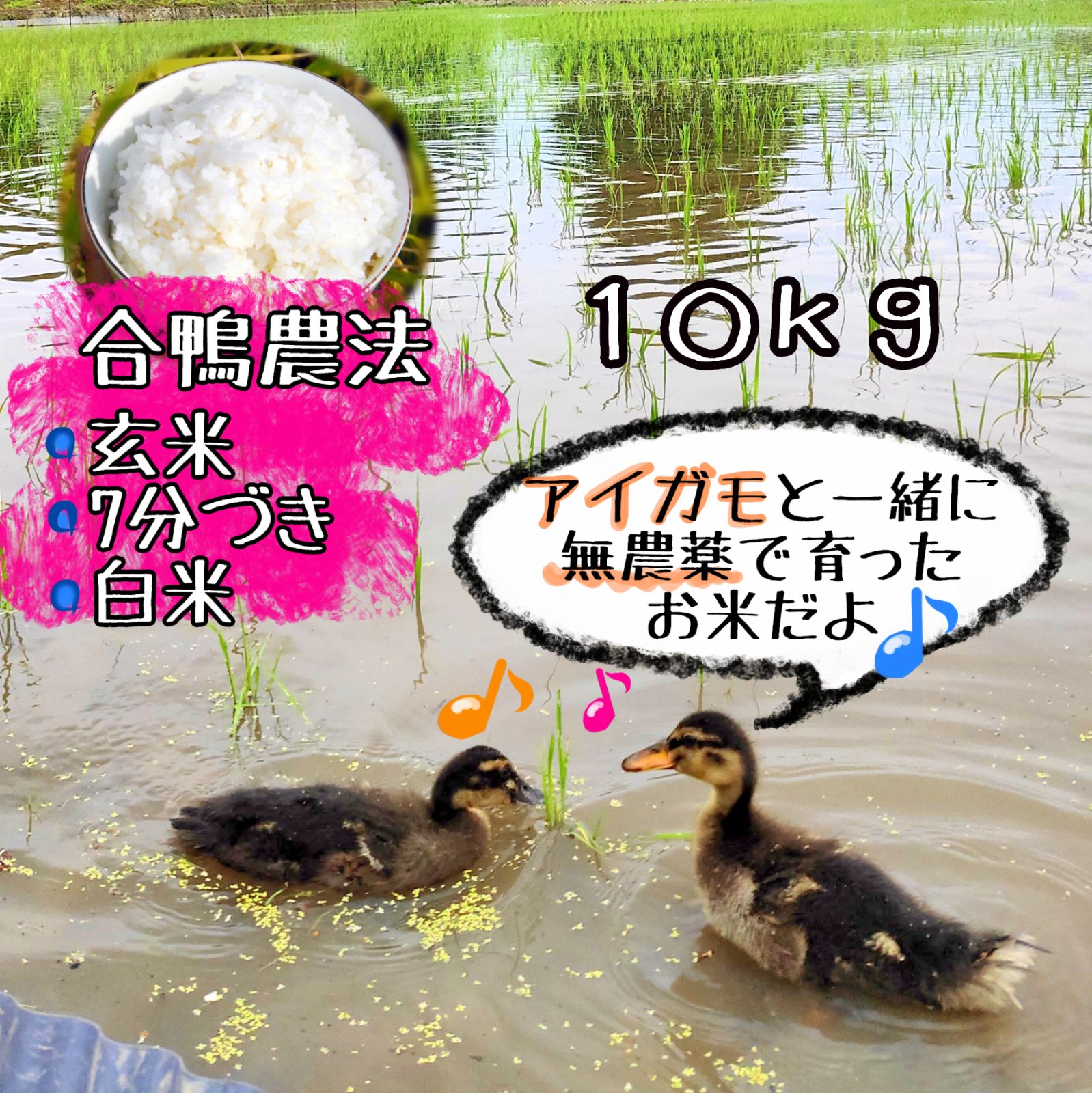 あいがも農法 無農薬 7分付き10kg あいがも 農法 送料無料