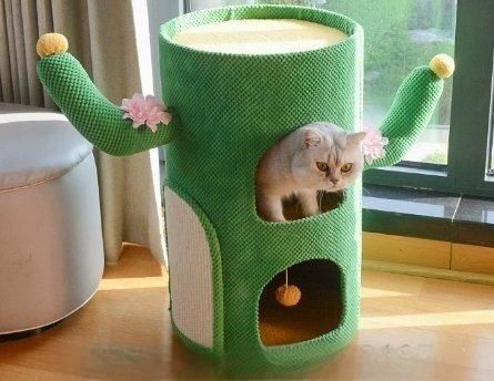 サボテン猫棚に登る多層木穴猫小屋 ZYP29今がチャンス