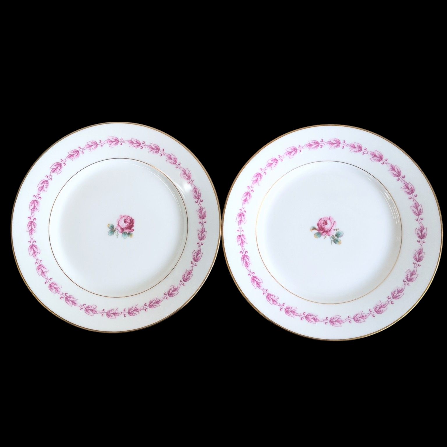 美品】Richard Ginori インペロカメリア プレート 2枚セット 直径19.5