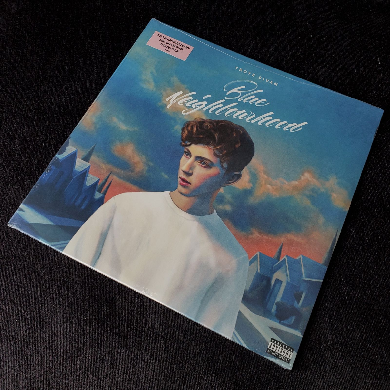 トロイシヴァン Troye Sivan デビュー5週年限定180gピンクレコード 