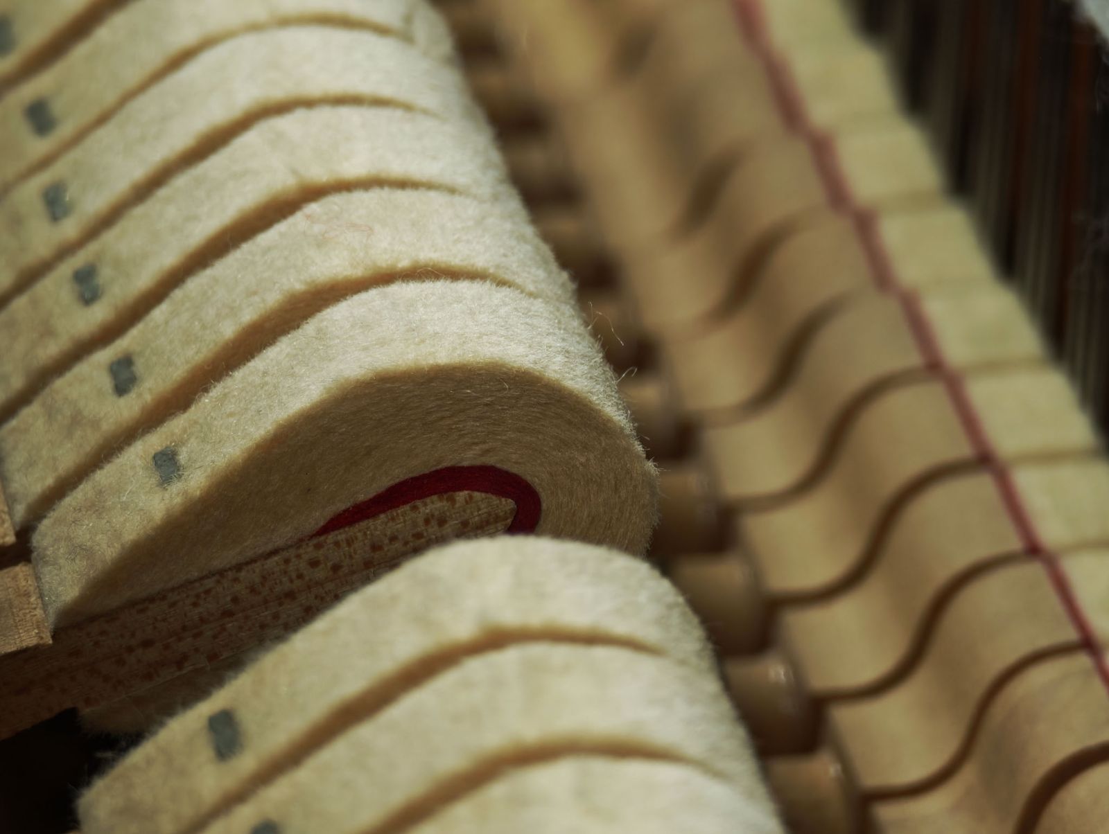 リニューアル済 Kohler