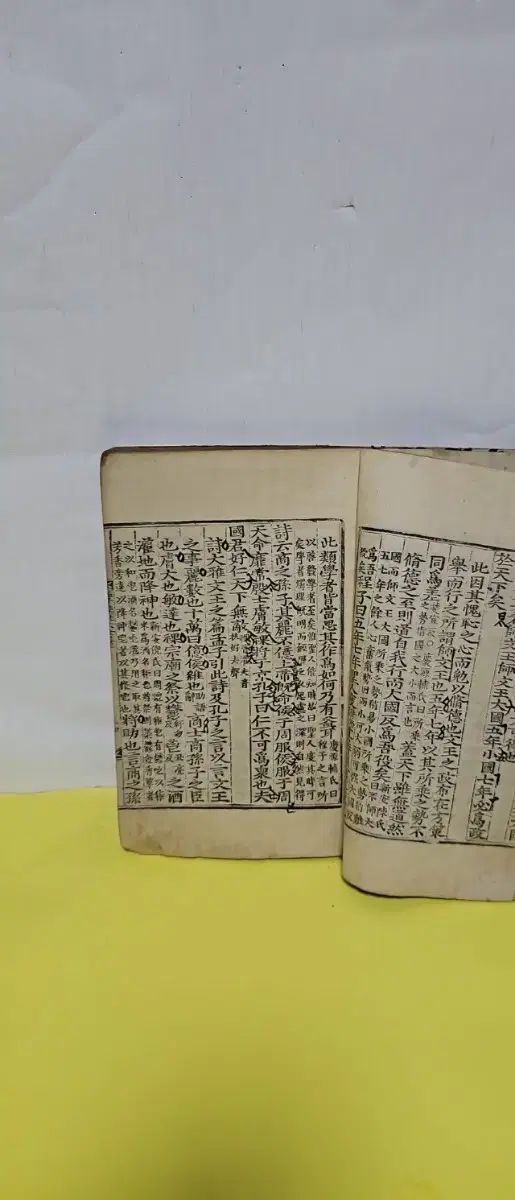 言ったでしょ