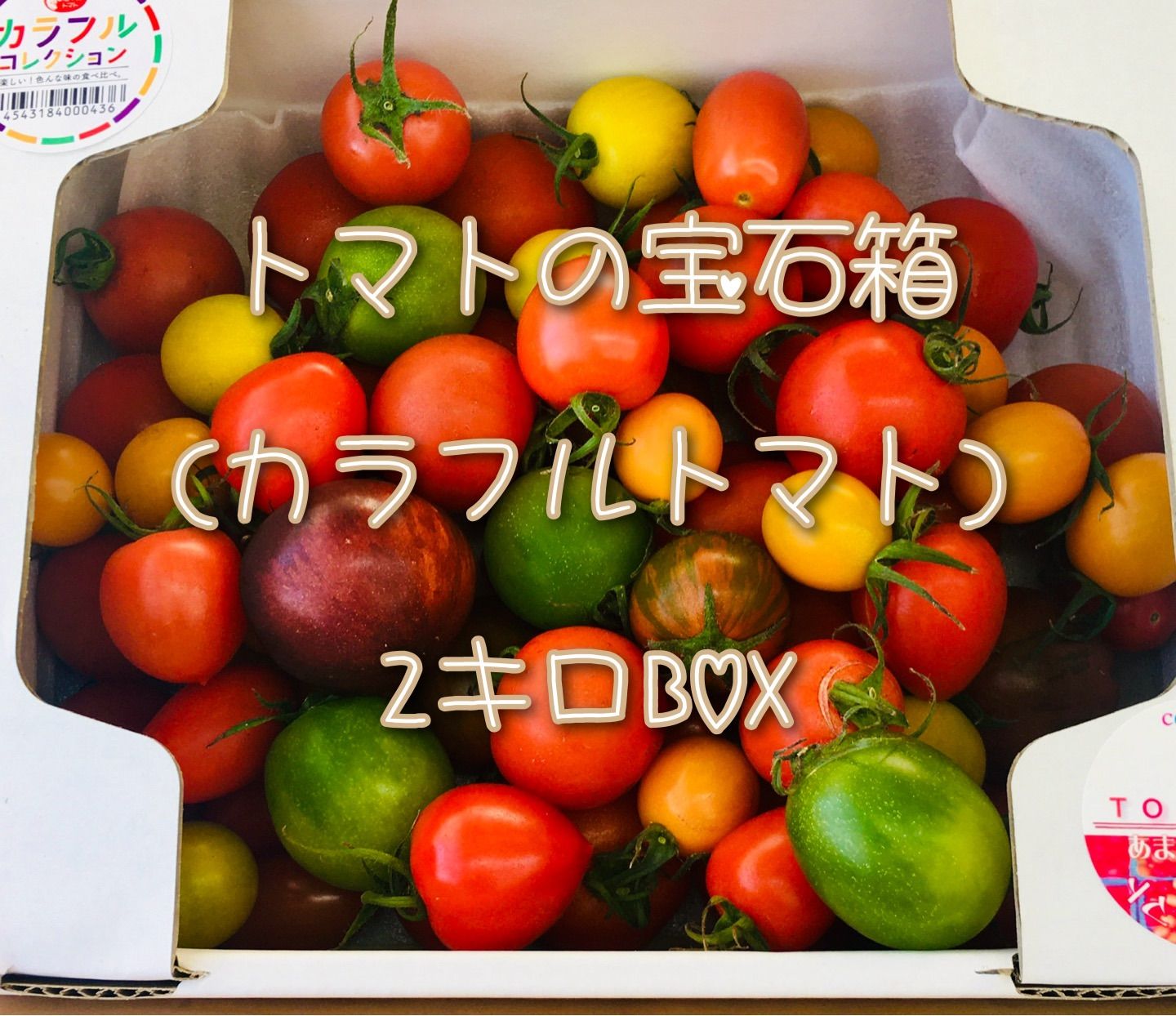 トマトの宝石箱🍅2㌔BOX❣️(カラフルトマト)全部で15種詰め合わせ！農家直送！フルーツトマト！