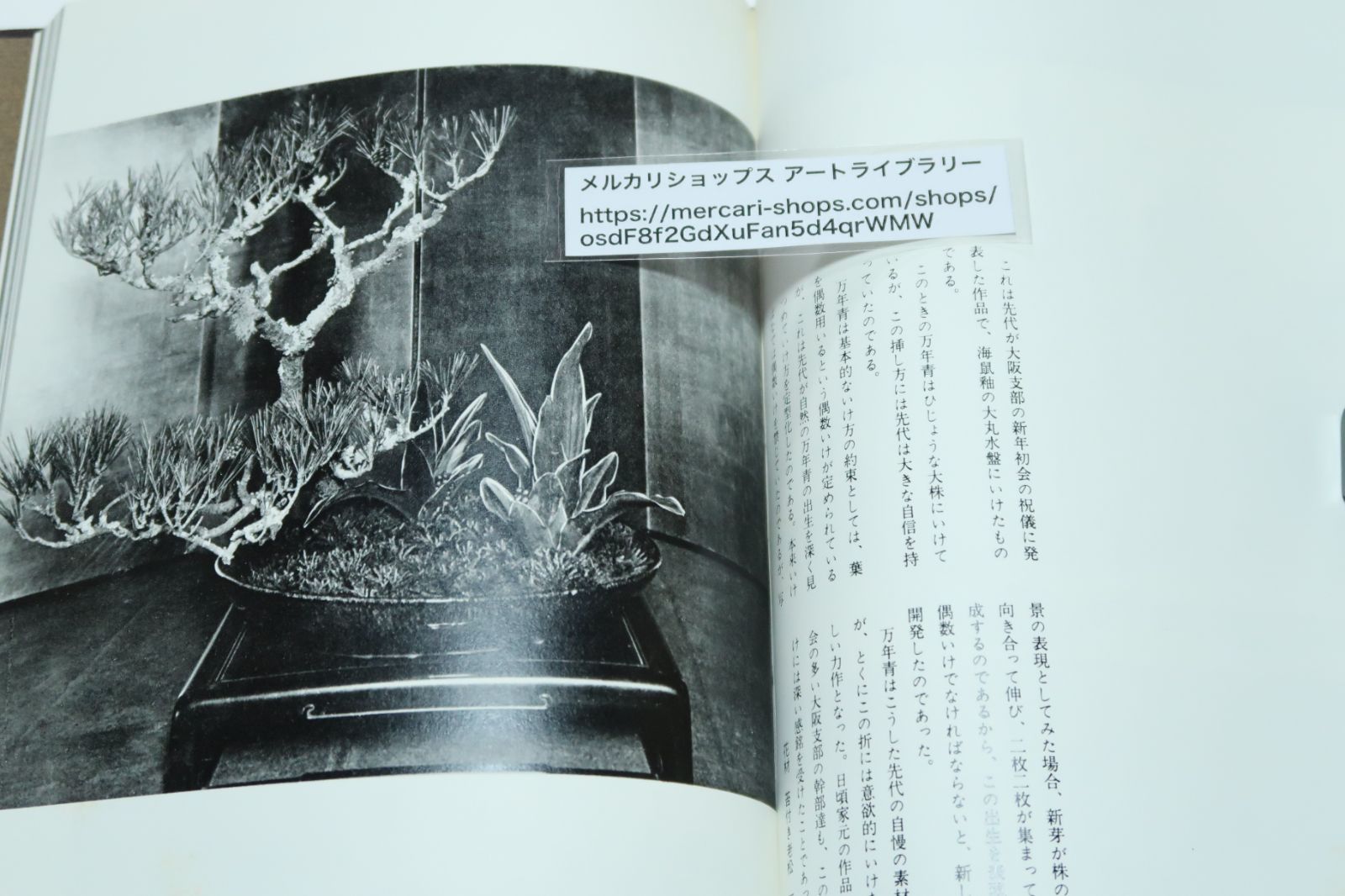 美品 小原流  小原豊雲作品集 Amazon.co.jp: 小原 豊雲: 本