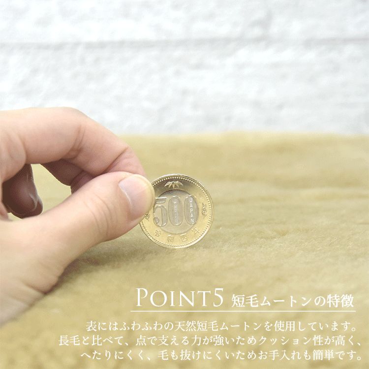 レビュー特典付 お手入れブラシ