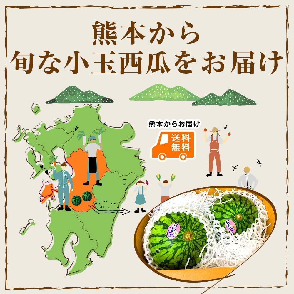 くまもと食彩の力 産地直送  熊本 小玉すいか 2玉 約3Kg Mサイズ以上 秀品 (001)小玉西瓜 特選 熊本県産 ギフト 贈り物 贈答 フルーツ 果物  プレゼント用【バイヤー推奨商品】発送予定日 ６月初旬