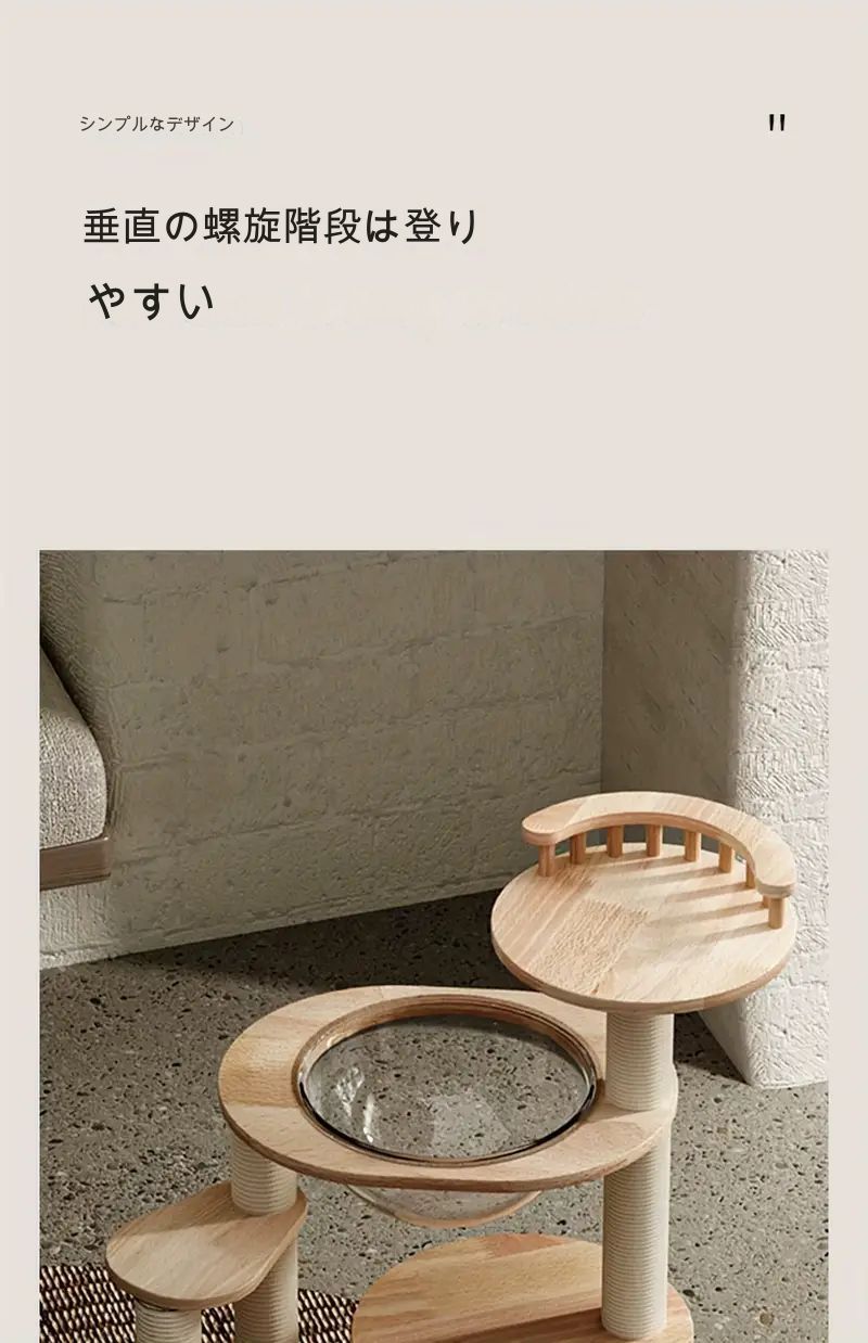 小型猫