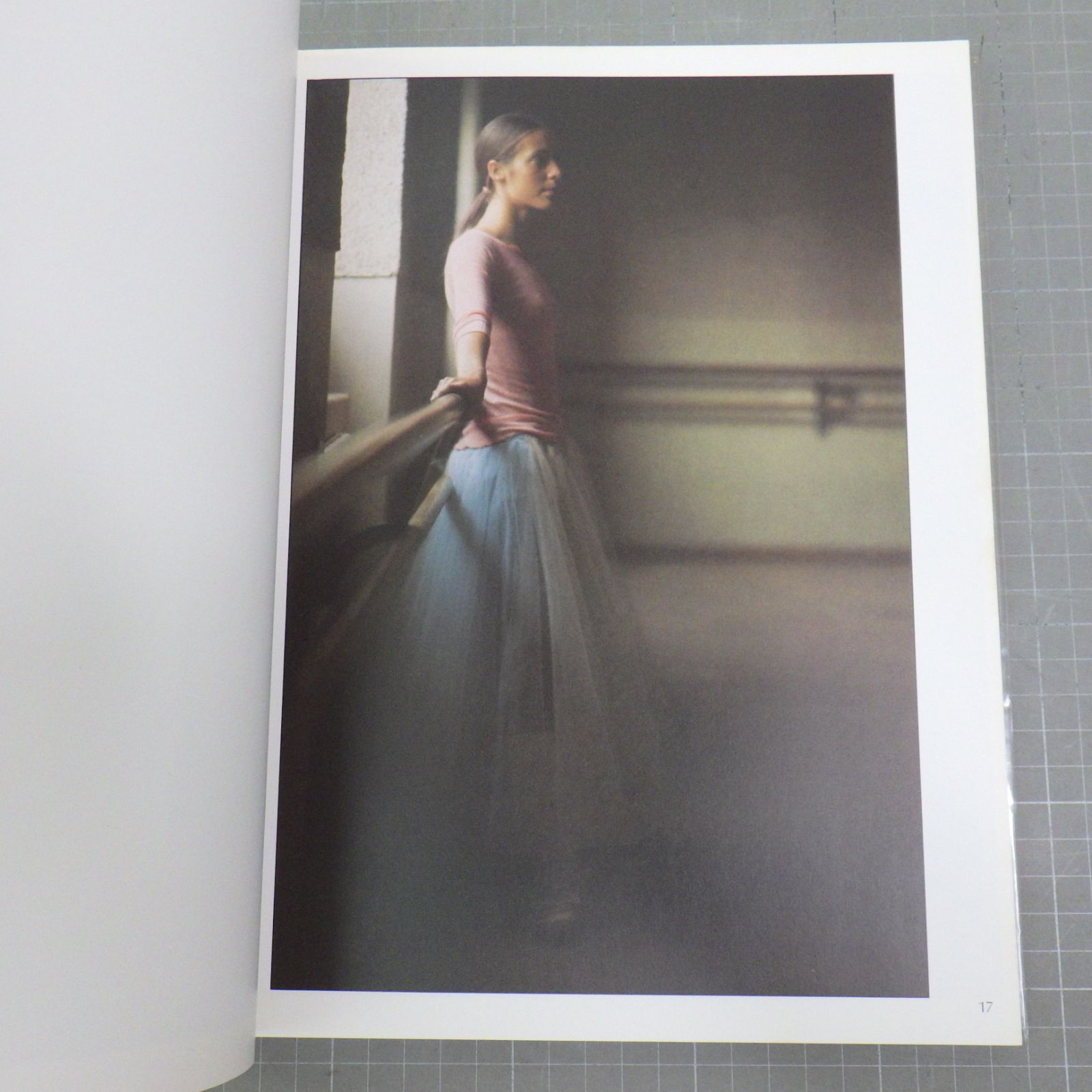 デビッド・ハミルトン 傑作集(日本語版) 独占出版 1976年発行