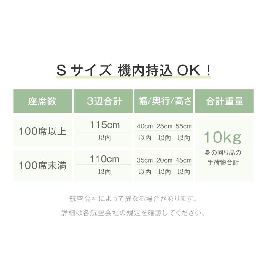 多収納ポケット 旅行