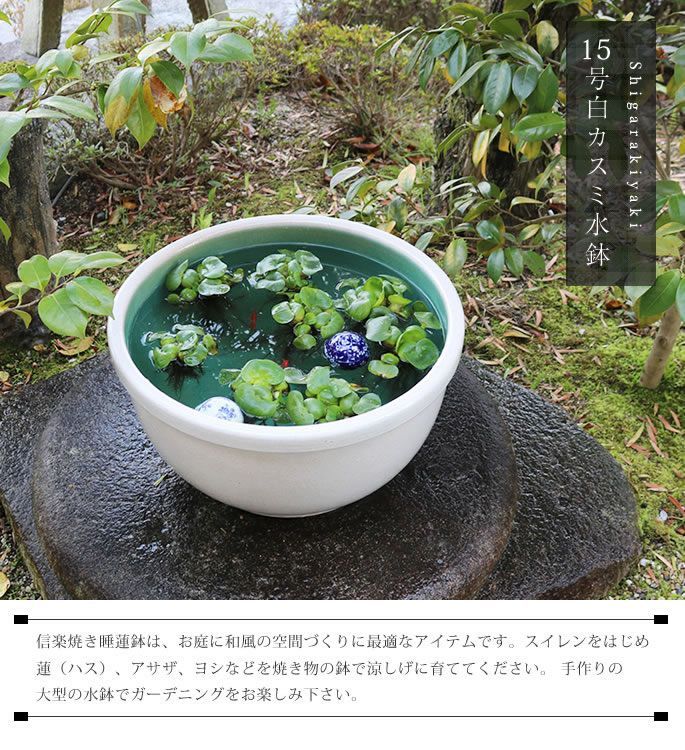 信楽焼 陶器