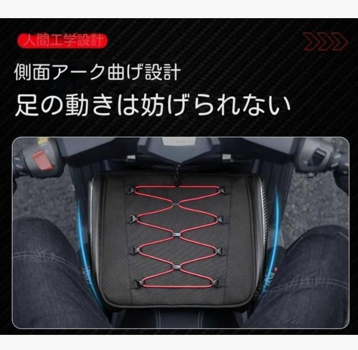 前席後席両用バイクでキャリーバッグに乗る