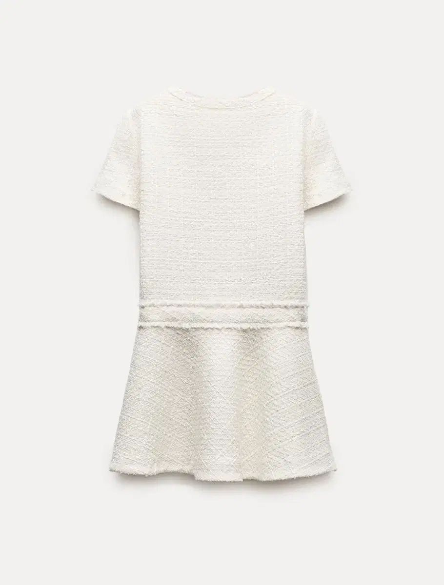 collection ストラクチャー