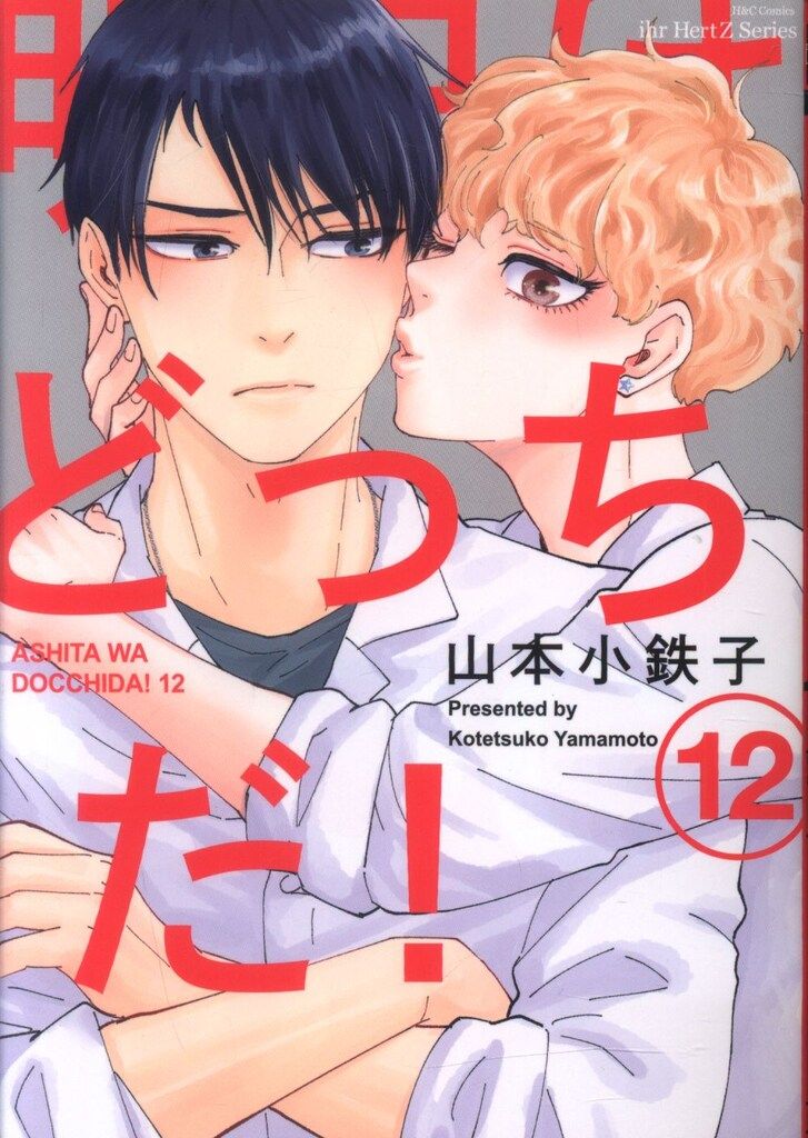 大洋図書 H&Cコミックス/ihrHertZシリーズ 山本小鉄子 明日はどっちだ