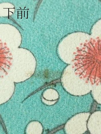 平和屋本店□極上 洗える最高級着物 ＜英＞はなぶさ謹製 小紋 花間道