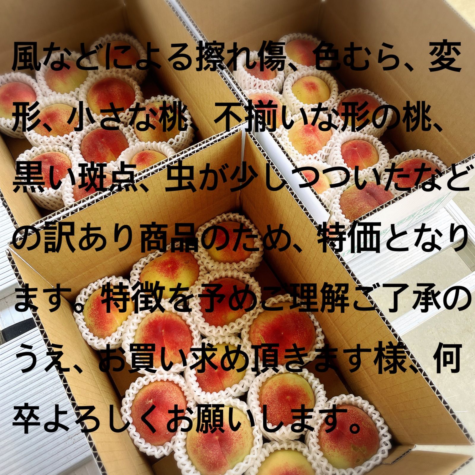 早生品種先行】福島県産 訳あり桃 3kg - メルカリ