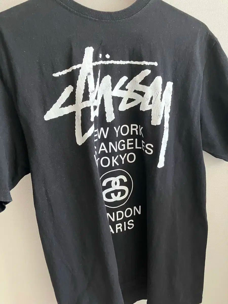 STUSSY(ステューシー) ワールドツアー Tシャツ 黒 L