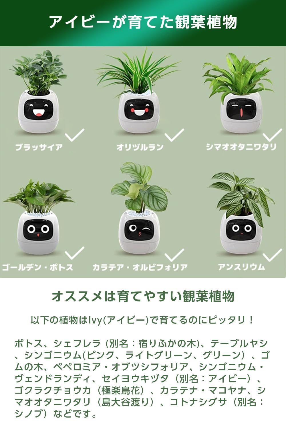 日本語取扱説明書【植物付属ありません】 贈り物 可愛いおしゃれ 小型