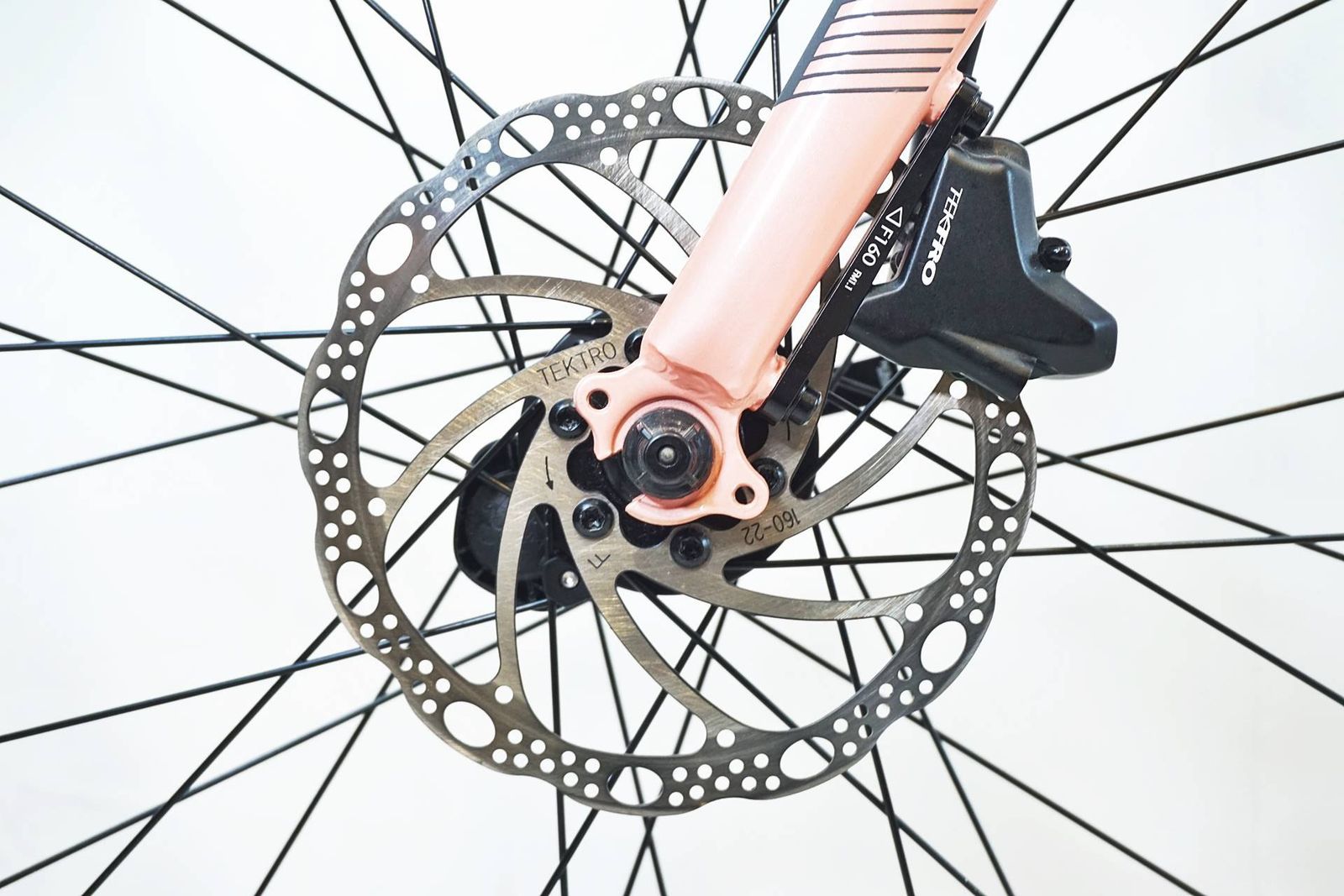 キャノンデール