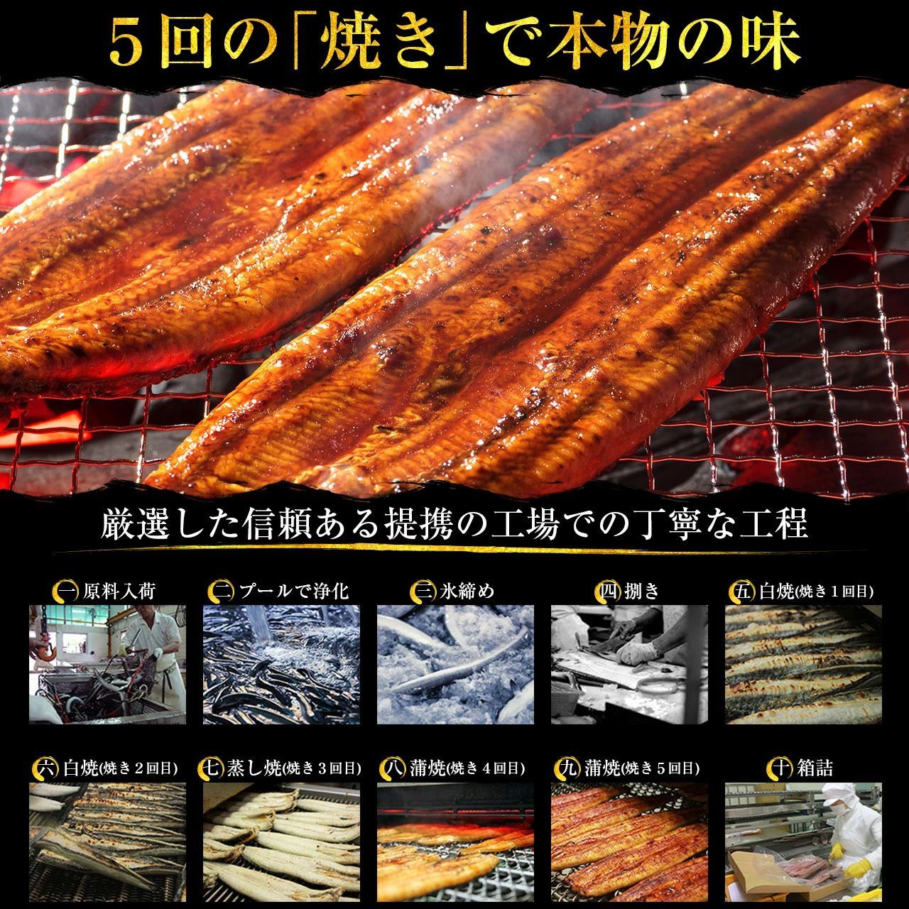 満足の4尾セット